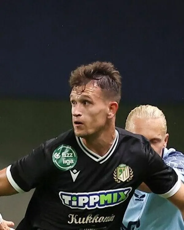 Daniel Štefulj